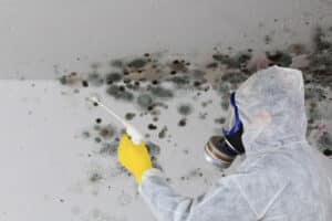 How To Locate Mold Spots In Your Home